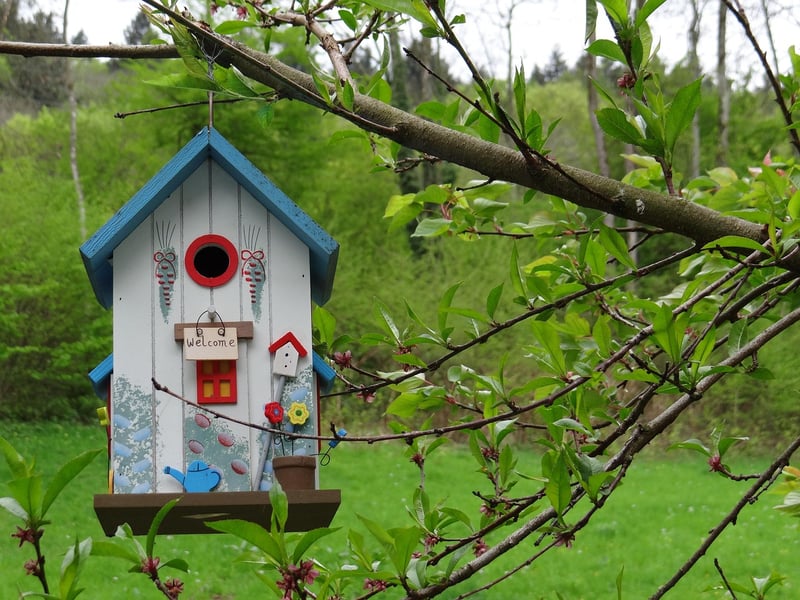 Treehouse Escape